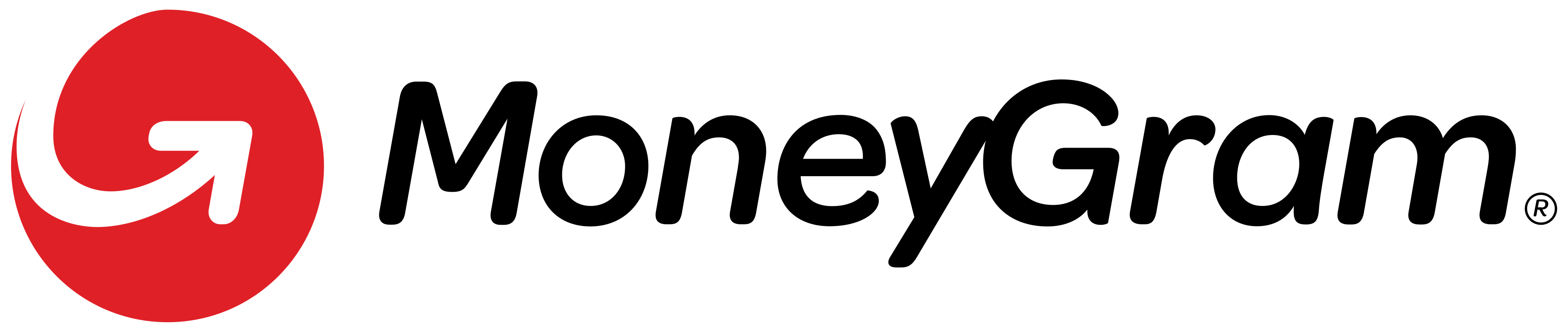 MoneyGram payment method logo