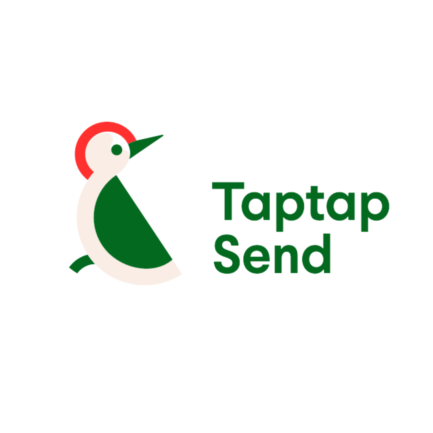 TapTap Send payment method logo