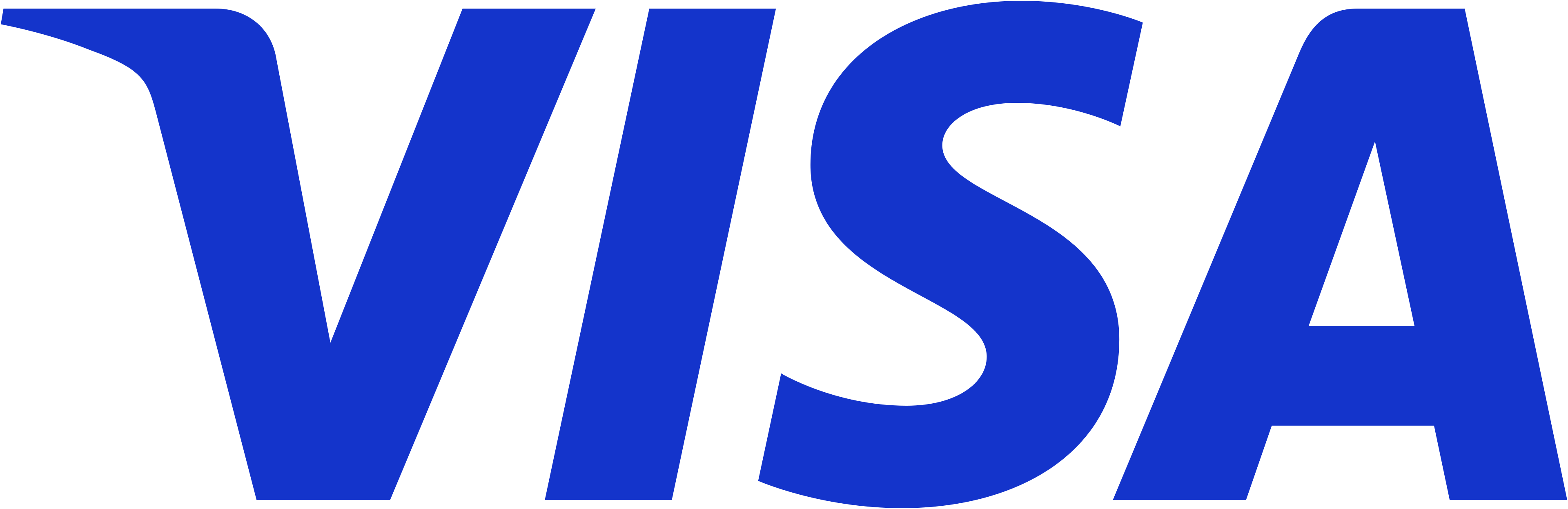 Visa payment method logo