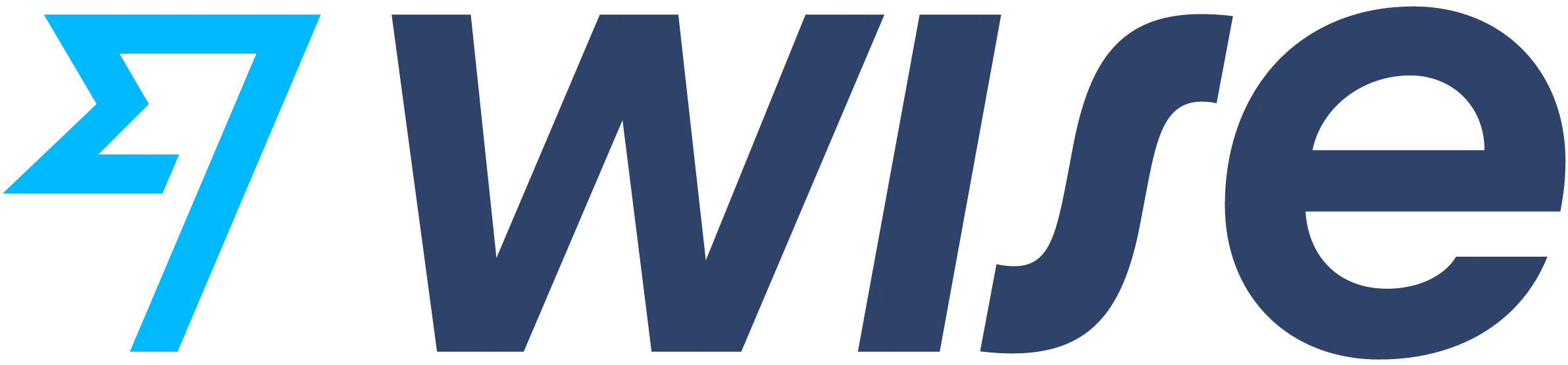 Wise payment method logo
